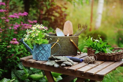 How to prepare your garden for the summer