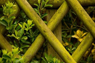 4 useful tips to help you choose the right garden fence (Gardening)