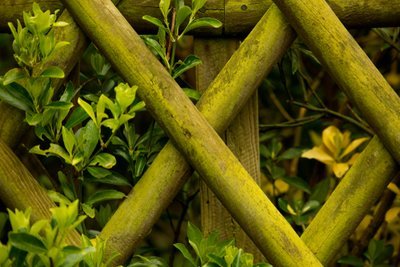 4 useful tips to help you choose the right garden fence