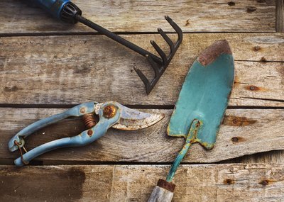 How to get rid of rust from gardening tools (Garden Tools)