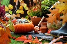 What to do in the garden in October: (Monthly Gardening Tips)