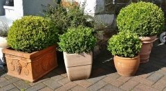 Give your containers a pre-winter once-over (Pottery, Pots and Planters)
