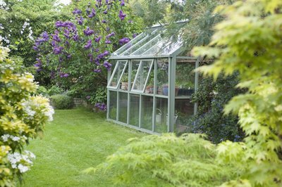 5 tips to grow a greenhouse garden