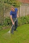 Tips on Lawn care.