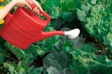 Get water wise (Soil & Plant Cultivation)