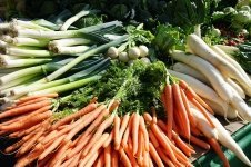 Heel in leeks and other winter veg (Kitchen Garden)