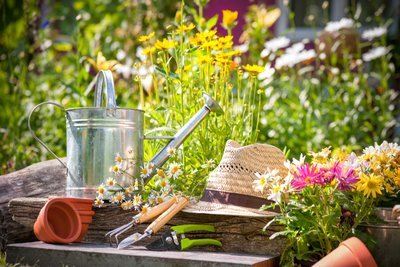 6 absurd gardening myths you should never believe