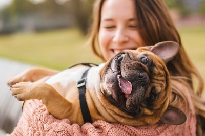 5 essential tips to take good care of your pet dog (Pets)