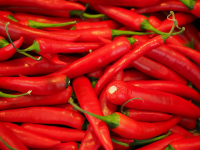 Sow chillies now (Kitchen Garden)