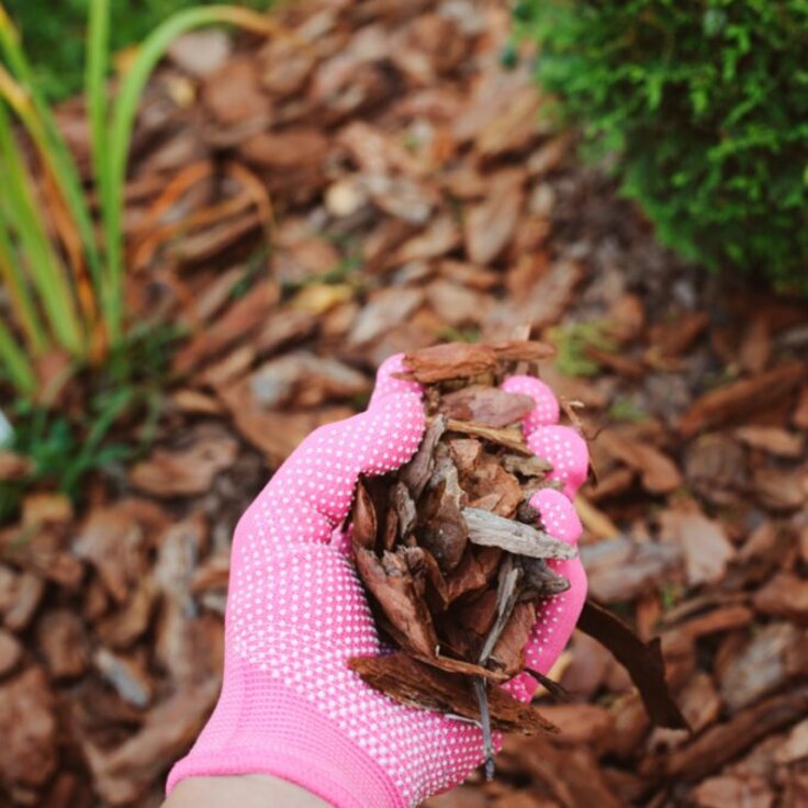 The Ultimate Guide to Bark Chippings and Play Bark in the UK