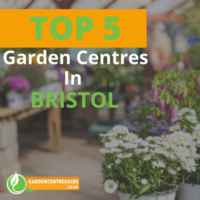 Top 5 Garden Centres in Bristol (Top UK Garden Centres)
