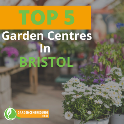 Top 5 Garden Centres in Bristol