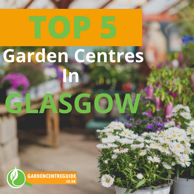 Top 5 Garden Centres in Glasgow (Top UK Garden Centres)