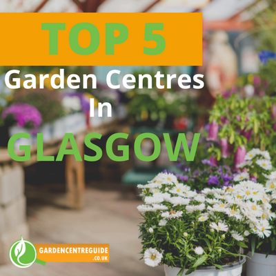 Top 5 Garden Centres in Glasgow