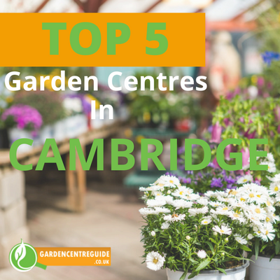 Top 5 Garden Centres in Cambridge (Top UK Garden Centres)