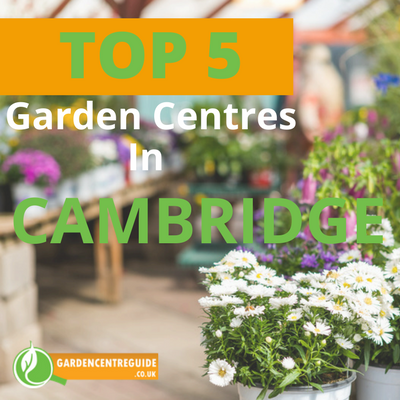 Top 5 Garden Centres in Cambridge