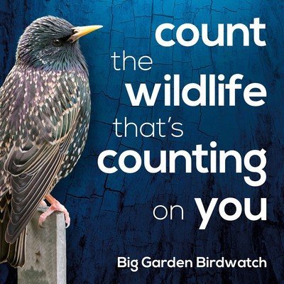 The results of the Big Garden Birdwatch are in (Garden Wildlife)