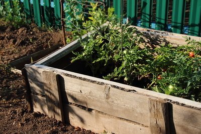 6 Effective Tips to Boost Your Garden Yield (Kitchen Garden)