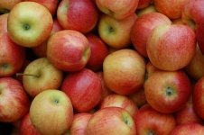 Learn more about apples (Kitchen Garden)