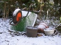 What to do in the garden in December: (Monthly Gardening Tips)