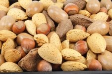 Plant a nut tree (Plants, Trees, & Flowers)