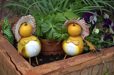 What to do in the garden over Easter Weekend