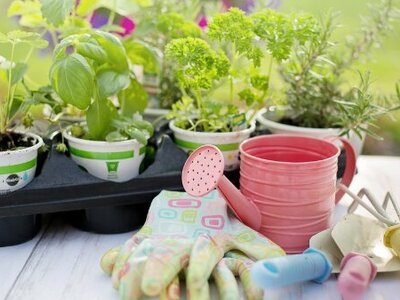 3D Printed Garden Tools: 10 Great Tools for Your Garden (Garden Tools)