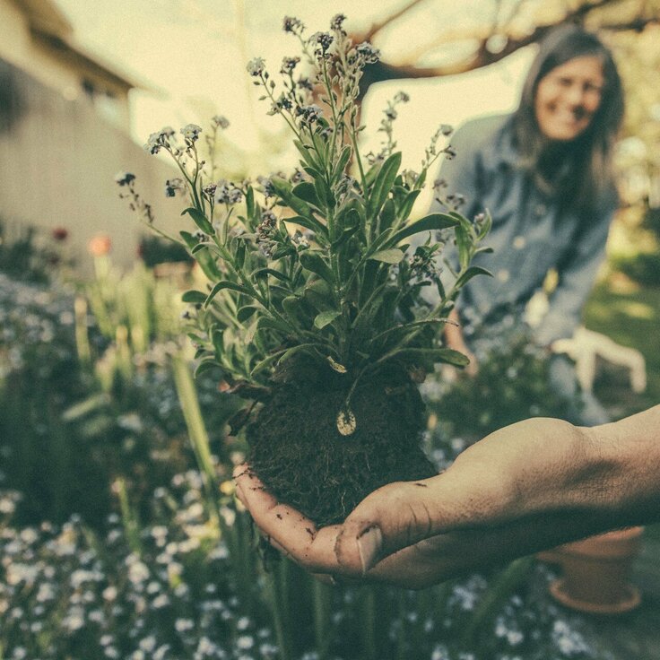 Sharing the gift of gardening with the national garden gift card