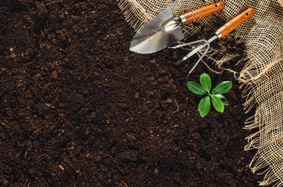 How to make your soil healthy? (Soil & Plant Cultivation)