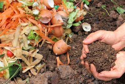 An easy guide to make your own compost (Soil & Plant Cultivation)