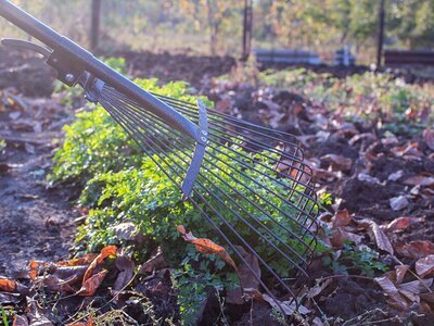 How to Clean Your Garden?