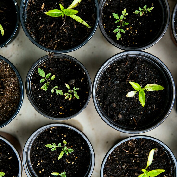How to Integrate Smart Technology into Your Garden