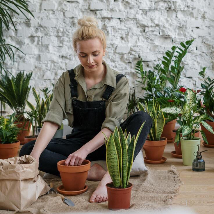 The Importance of Proper Garden Work Attire: Protecting Yourself and Your Plants (Plants, Trees, & Flowers)