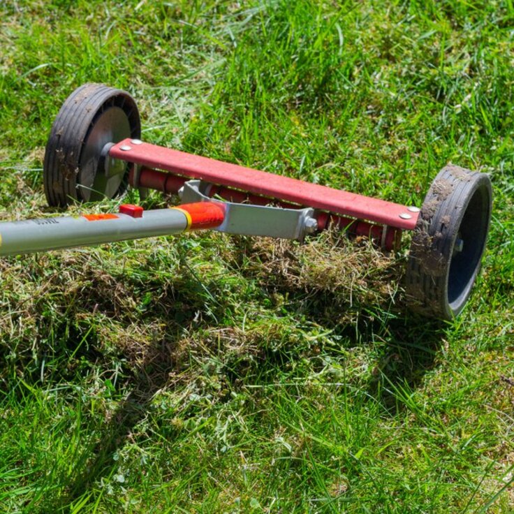 Verticutting the Lawn: How and When?