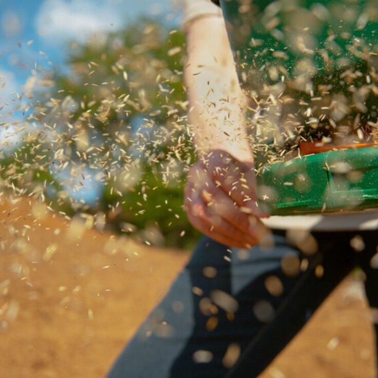 What to do in the garden in April