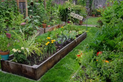 7 reasons why you should grow plants in raised beds