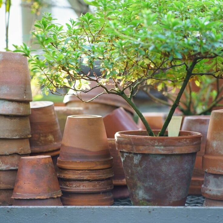 Give your containers a pre-winter once-over