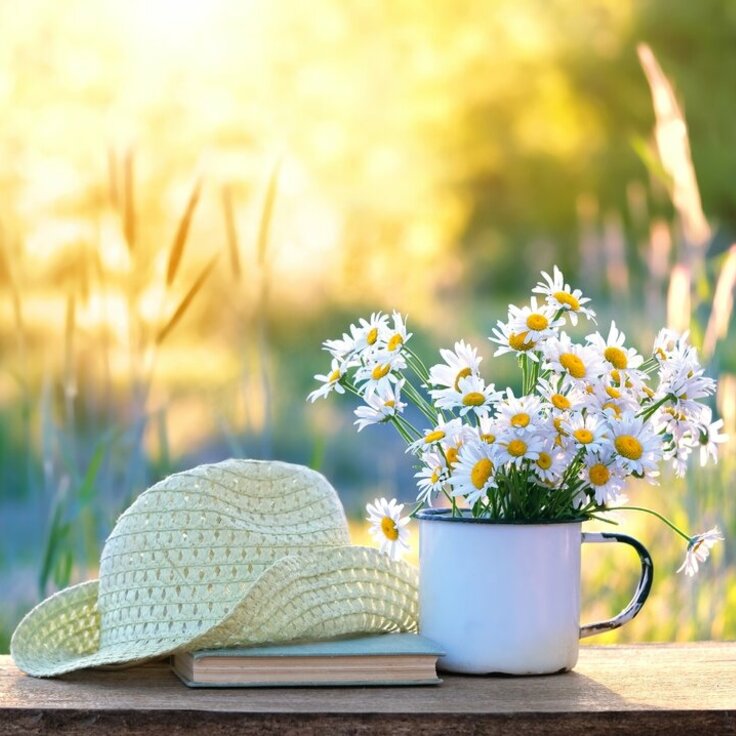 Late Summer Gardening in the UK: Propagate, Plant, and Prepare for an Autumn of Colour (Gardening)