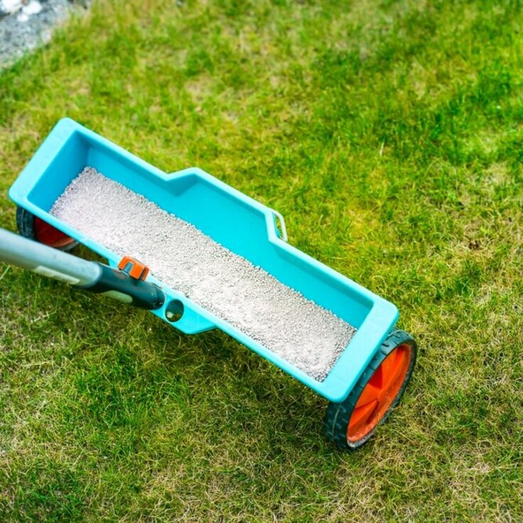 Organic Fertiliser for Your Lawn: How and When to Use It? (Gardening)