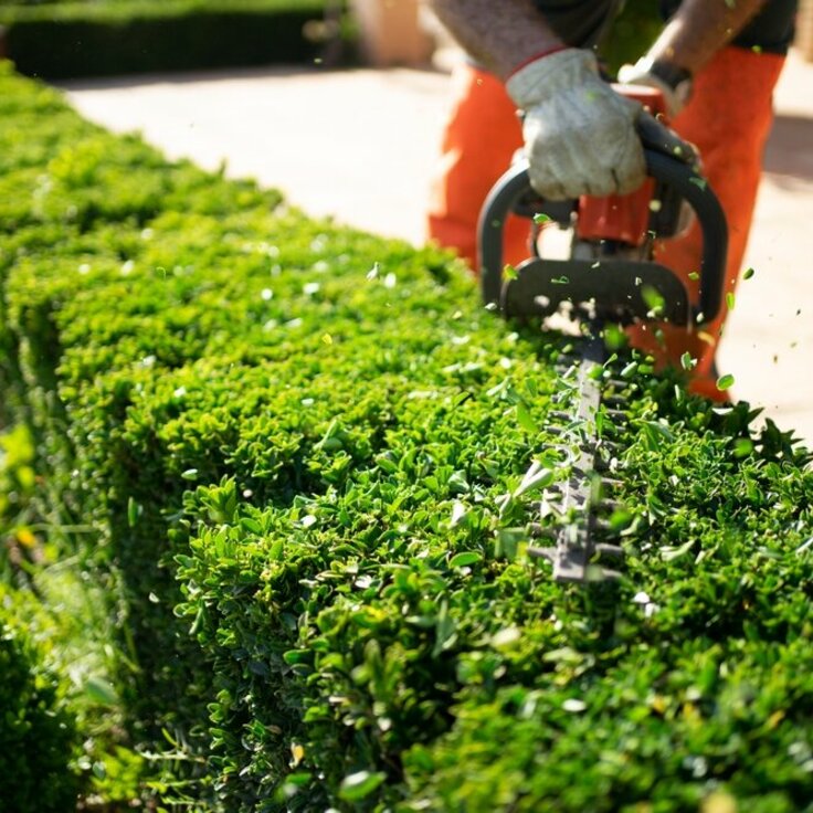 Now’s the time to trim Hedges