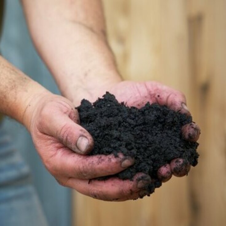 Differences between Topsoil, Garden Soil, and Potting Soil (Gardening)