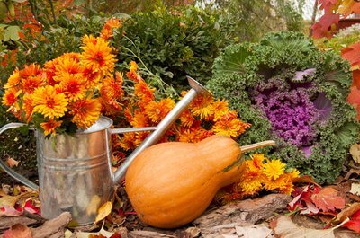 What to do in the garden in October (Monthly Gardening Tips)