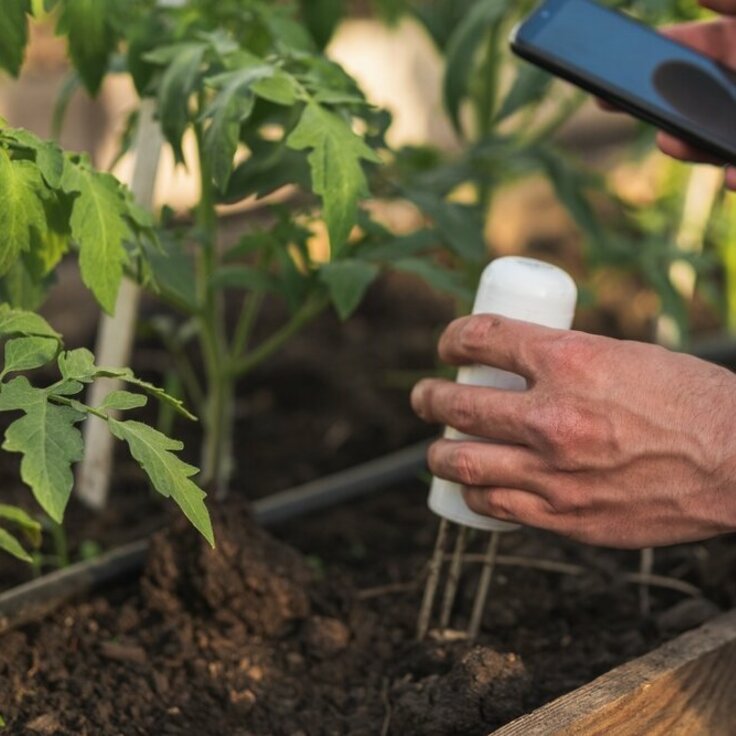 Soil Moisture Analytics For Sustainable Gardening: Reducing Water Waste And Environmental Impact (Soil & Plant Cultivation)