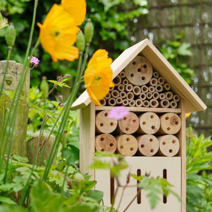Building your own bug hotel (Garden Wildlife)