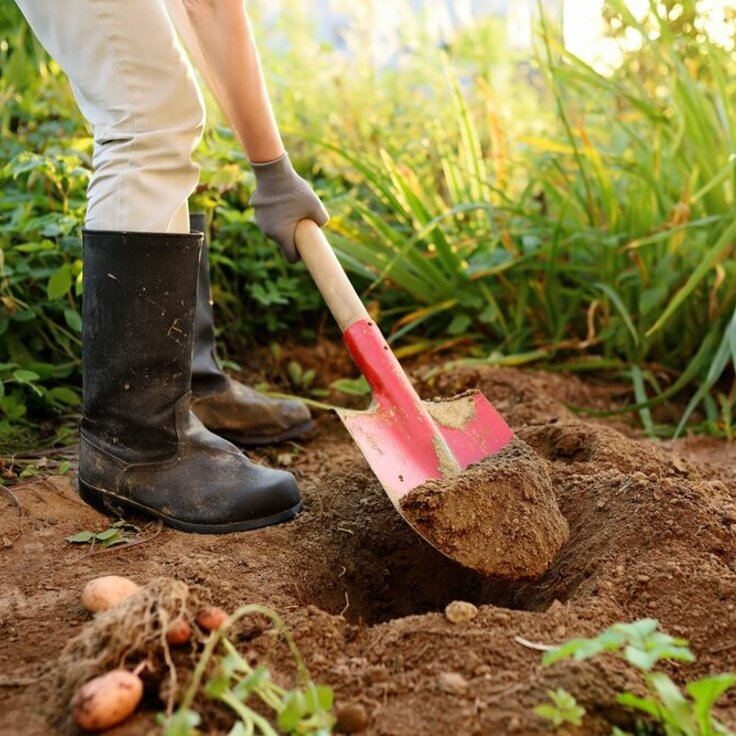 Top 5 Mistakes Made By New Gardeners