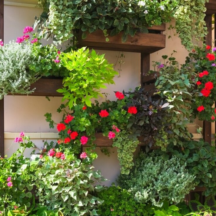 Beginners guide: Creating stunning DIY vertical gardens (Gardening)