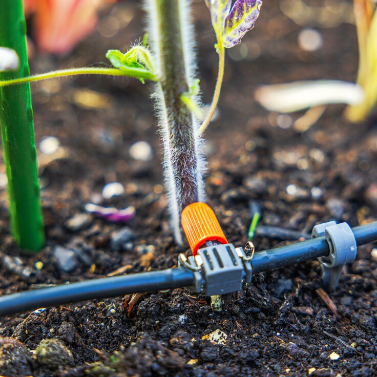 The Future of Gardening: How Smart Technology is Transforming Outdoor Spaces