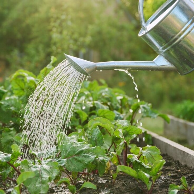 Get water wise