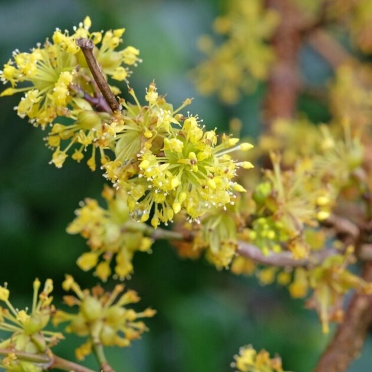 Gardeners' World Episode 13