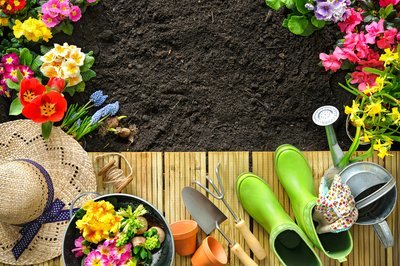 What to do in the garden in March (Monthly Gardening Tips)